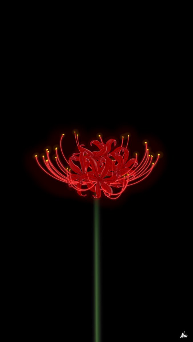 nes on Twitter Red Spider Lily that I drew the other day   httpstcoDOSLX42cDA  Twitter