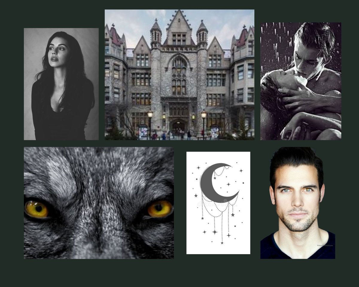 AuthorCarter's tweet photo. A battle of wills against new college student Savannah Harper &amp; Alpha Daxton Allaire, as she's thrust into chaos, finding out she isn't human, has a mated destiny with a stranger, &amp; the truth about her unknown beginning in, Werewolf University. 

#MoodPitch #NA #PR #R #UF https://t.co/uFXzaNRaBt