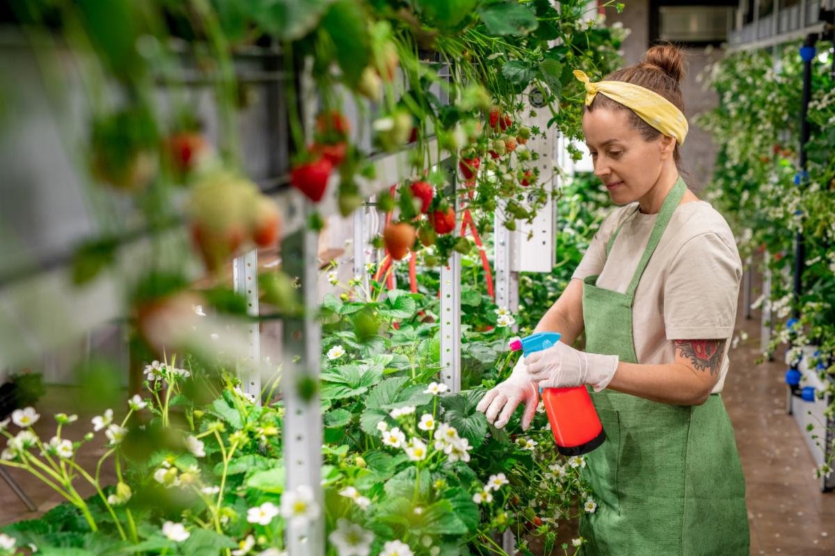 Is your business run by the "Law of the Farm" or the "Law of the School"? 

bit.ly/lawofthefarm
