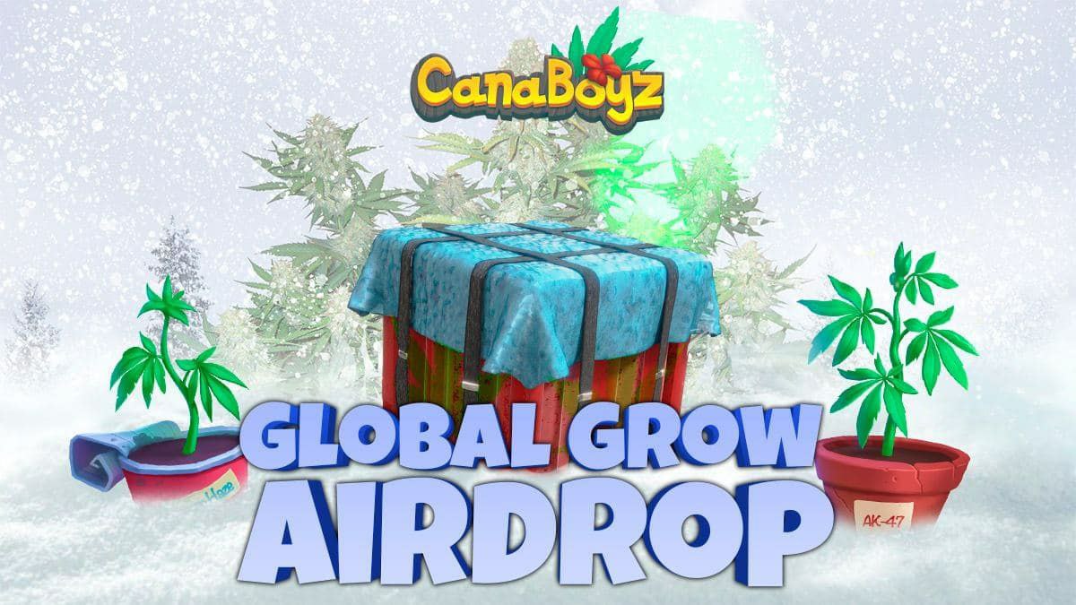 Dynamic Airdrops tweet media