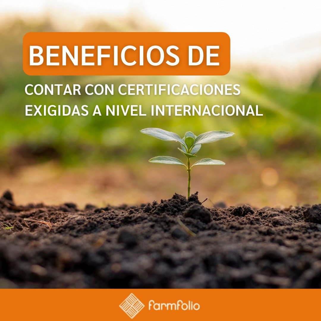 farmfoliocol's tweet photo. Contar con certificaciones y programas exigidos a nivel internacional te dará ventaja competitiva y abrirá puertas a nuevas oportunidades de expandir tu negocio 🌱
#agroindustriacolombiana #exportacion #certificacionesinternacionales #Colombia #Fincascolombianas #agrocolombia https://t.co/JpMTwOrD6h