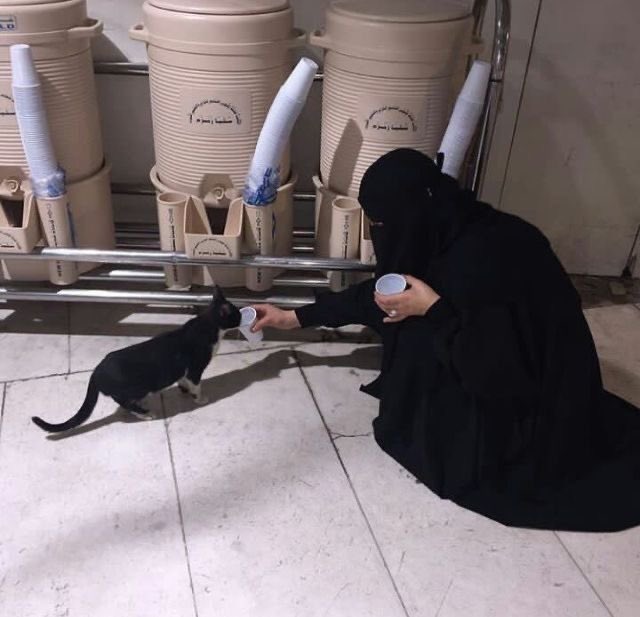 sun (@ffffakkkke) on Twitter photo 