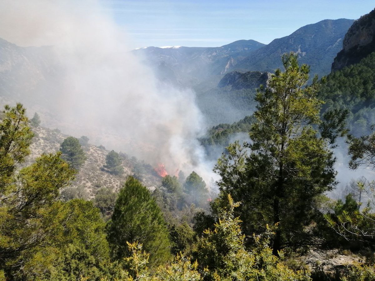 Activats aquest migdia per un foc forestal.Treballem amb els companys de <a href="/BombersOliana/">Bombers Oliana</a> <a href="/bombersorganya/">Bombers Organyà</a> <a href="/EpafTremp/">EPAF_Tremp</a> i els companys de la Seu.
Foc extingit💪
Precaució al bosc!!!🙏
