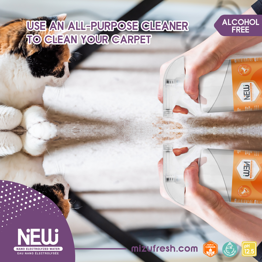 MizuFresh's tweet photo. N.E.W. is certified to be non-irritant and hypoallergenic. It is safe for cleaning households and workplaces with children and pets around. Exposure to N.E.W. will not cause harm to humans or animals.
#mizufresh #NEW #Vancouver #cleaning #deodorizing #degreasing #hypoallergenic https://t.co/x2twxpdDlF
