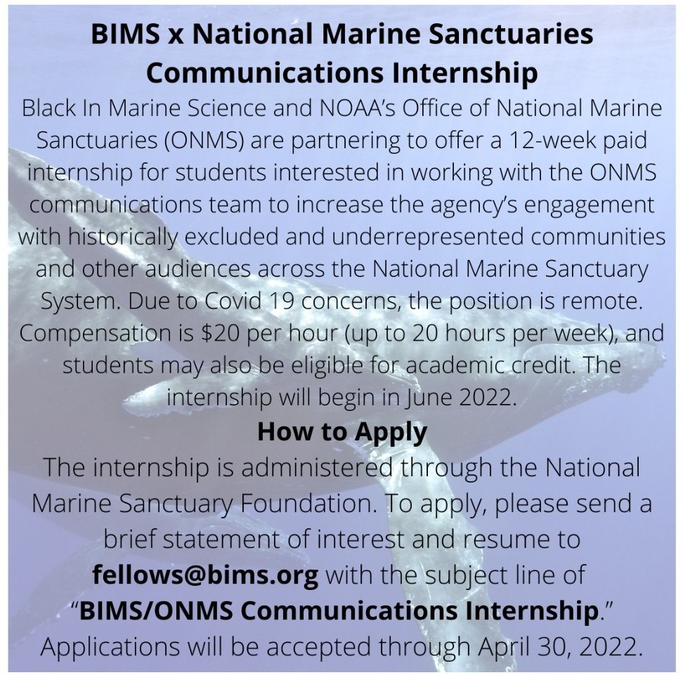 !!!! PAID INTERNSHIP OPPORTUNITY!!!!

Listen up BIMsees! Communications Internship opportunity offered in partnership with BIMS &amp; ONMS <a href="/sanctuaries/">Sanctuaries (NOAA)</a> link to apply is in bio!