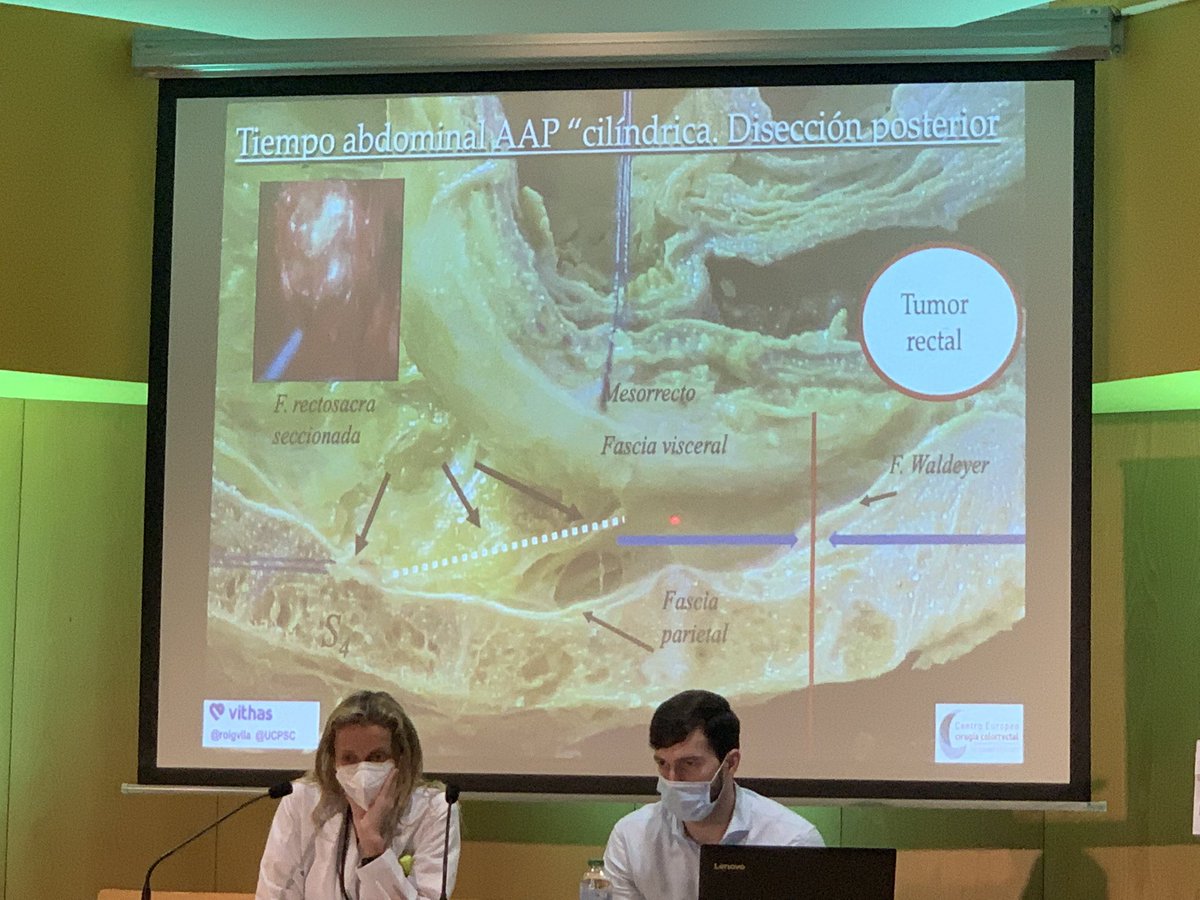 CGD_Pontevedra's tweet photo. Un honor tener con nosotros a @roigvila! Magnífica presentación sobre anatomía aplicada a cirugía pelvi-perineal! 👏🏻 @coloproctoaec https://t.co/BiF8QUreBM