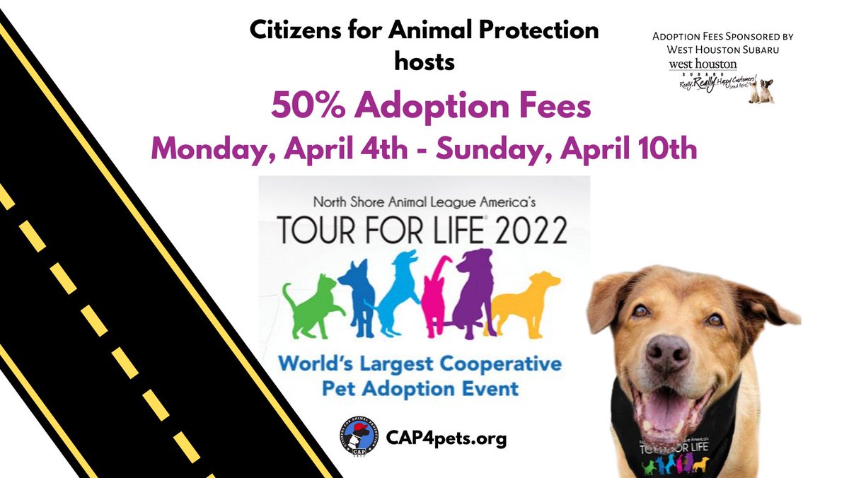 cap4pets's tweet image. Our #TourforLife2022 week-long 50% adoption fee event continues, can&apos;t wait to see who gets adopted today! cap4pets.org @AnimalLeague @Nutrish @WHSubaru
