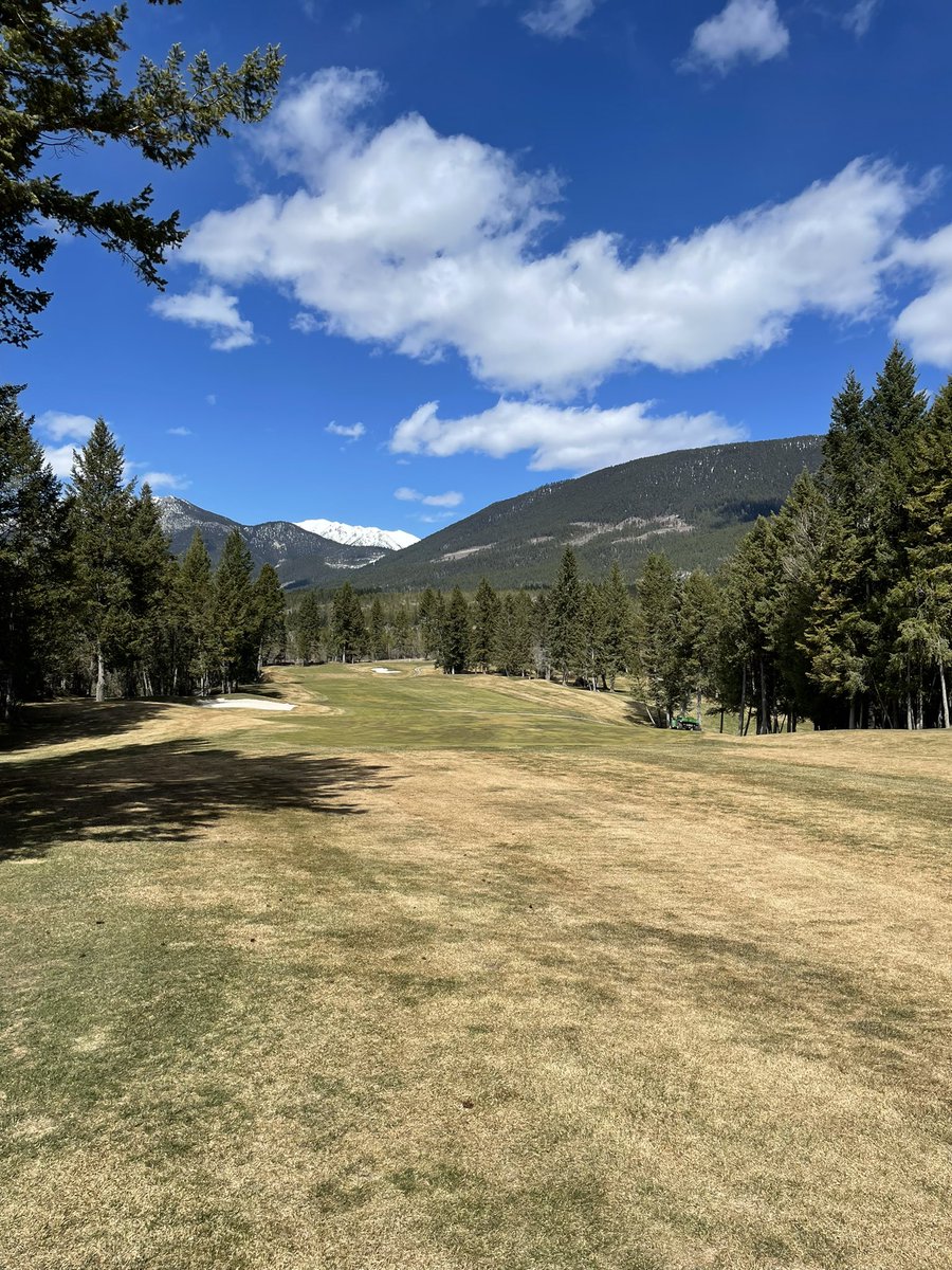 The course came through beautifully!