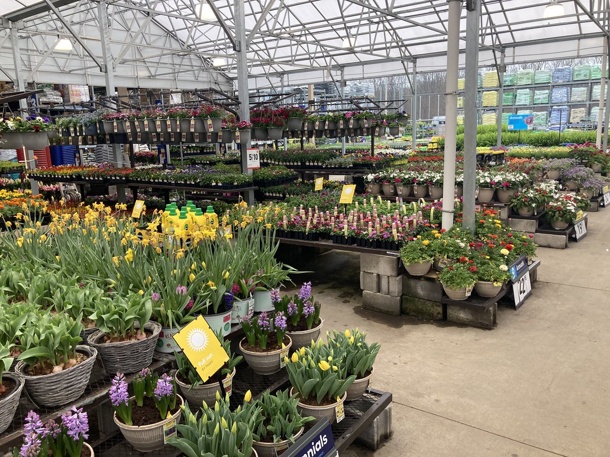Kate11589687's tweet photo. #springfest #Lowes2589 #PlantPartners 🐰🌱🌷 https://t.co/zS5rMNDusZ