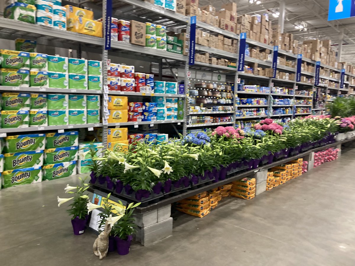 Kate11589687's tweet photo. #springfest #Lowes2589 #PlantPartners 🐰🌱🌷 https://t.co/zS5rMNDusZ