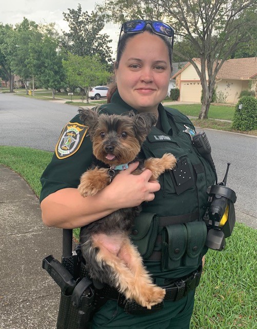 SeminoleSO's tweet photo. With the assistance of two citizens, East Region Deputy Kaitlyn Jusino captured this adorable furry fugitive just as she was about to cross busy Red Bug Lake Road Tuesday.  Fortunately, the tiny K9 was wearing a collar with a tag, and reunited with her grateful owners! https://t.co/5xIuYWNOuc