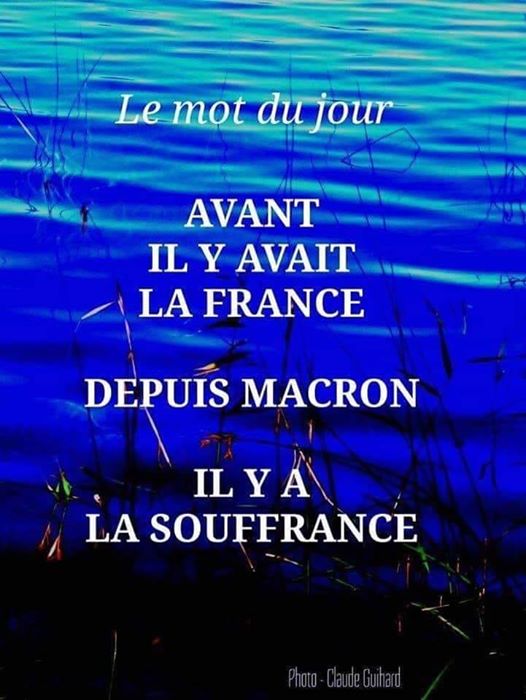  Olivier92 On Twitter jeu De Mot Dirait Maitre Capello 