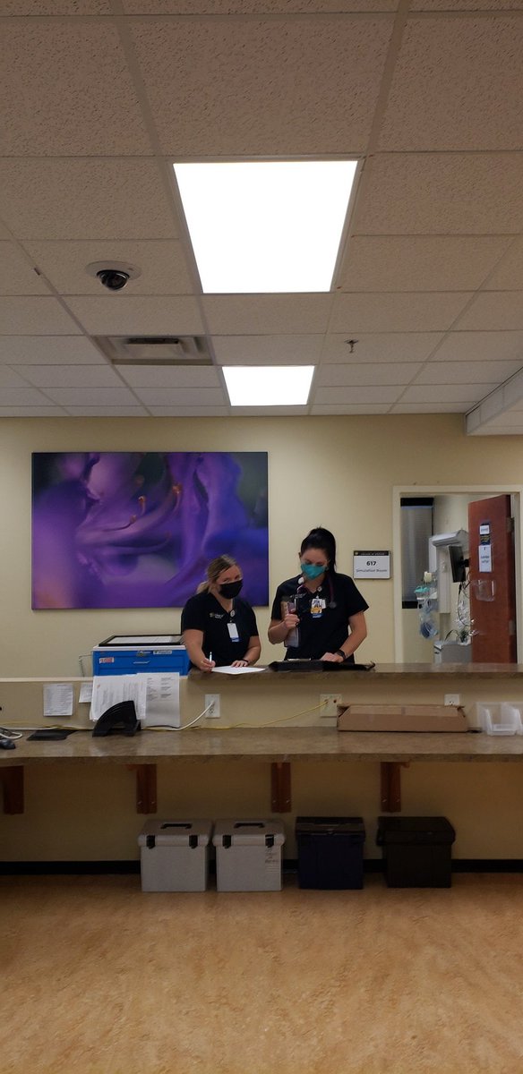 Syretta Spears (@syretta1002) on Twitter photo Sr Practicum - last event! Love seeing our seniors so engaged and focused in the STIM Center.
Go Knights! 💛🖤
<a href="/UCF_Nursing/">UCF Nursing</a> <a href="/decafwithdiaz/">Desiree A Diaz</a>
#UCFCollegeofNursing
#KnightNurse
#ChargeOn
#Simulation Sr Practicum - last event! Love seeing our seniors so engaged and focused in the STIM Center.
Go Knights! 💛🖤
<a href="/UCF_Nursing/">UCF Nursing</a> <a href="/decafwithdiaz/">Desiree A Diaz</a>
#UCFCollegeofNursing
#KnightNurse
#ChargeOn
#Simulation