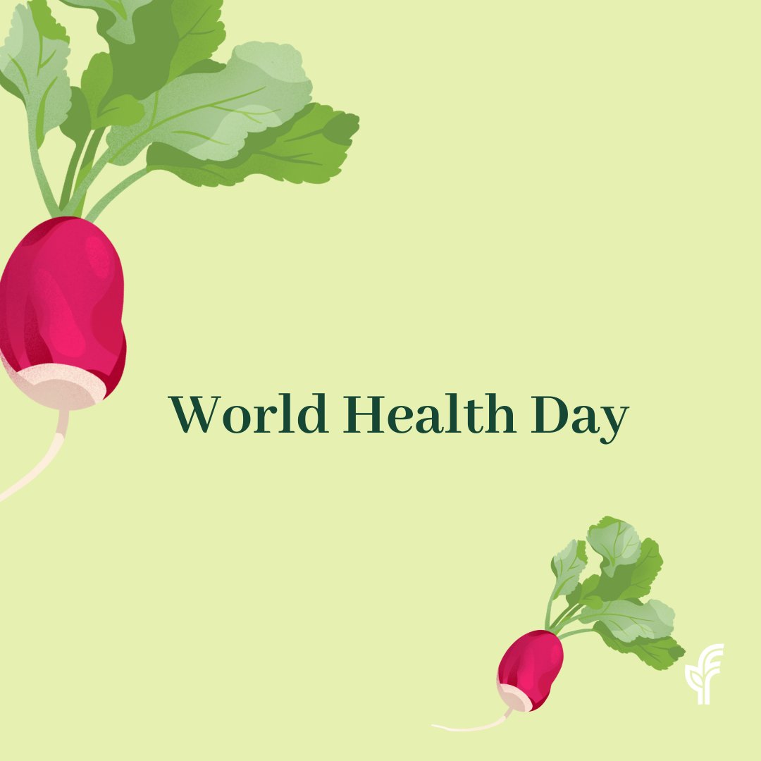 Fresh Routes tweet media