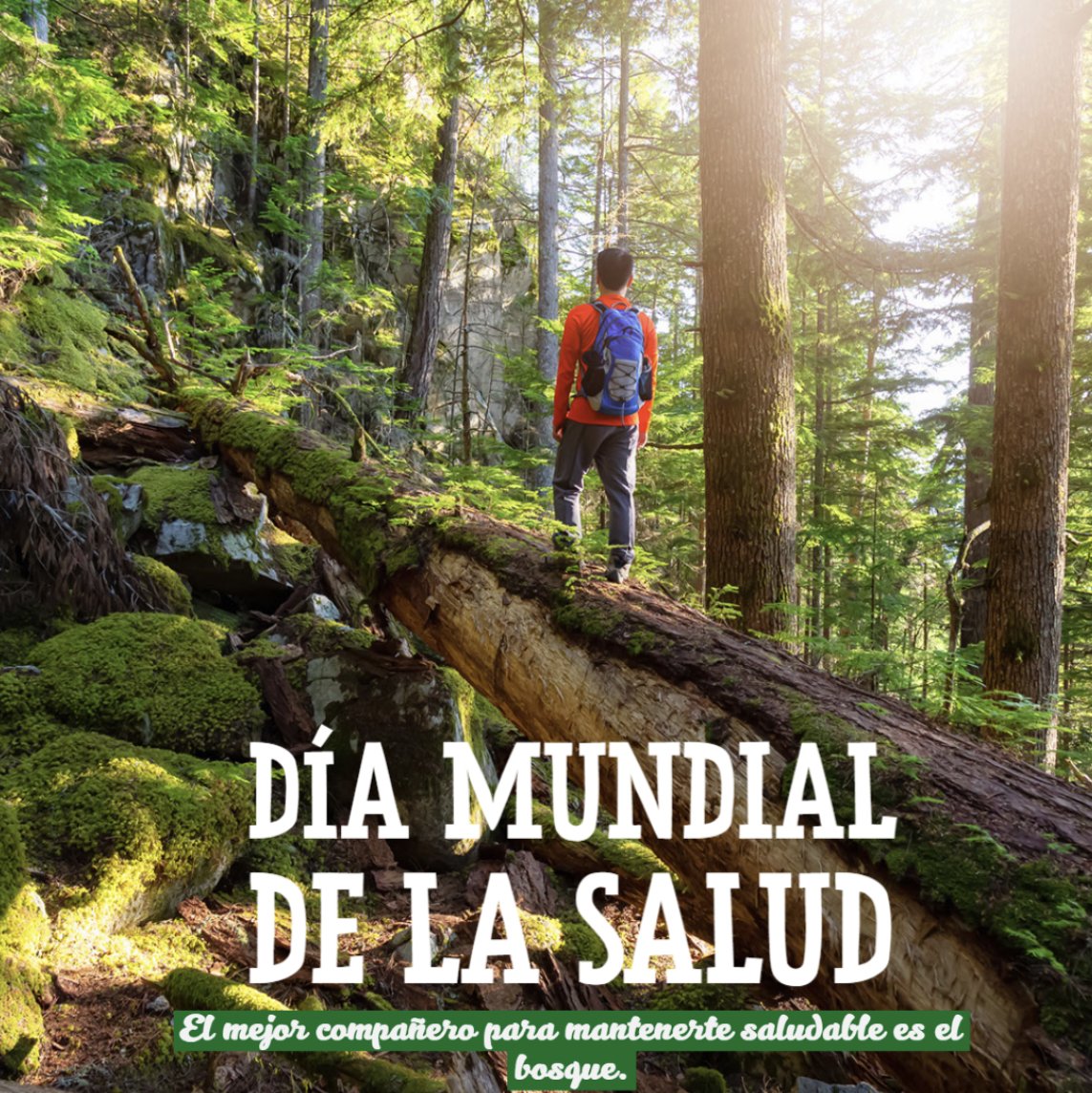 ¡Hoy celebramos el #DíaMundialdelaSalud!

Este año busca visibilizar la interconexión entre la salud del planeta 🌎 y nuestra salud ⚕️

¿Cómo estamos protegiendo el planeta para mantenernos saludables? 🤔🏃‍♂

¡Celebra con una caminata en el bosque! 🥳