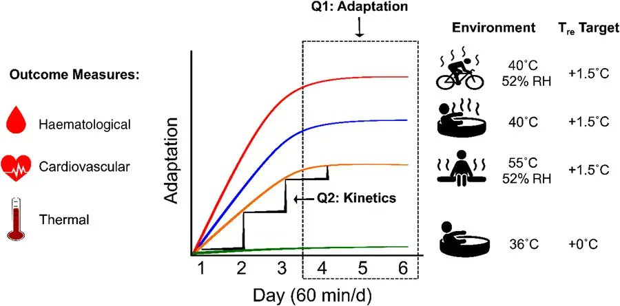 A crossover control study of three methods of heat acclimation on the magnitude and kinetics of adaptation <a href="/lorenzkissling/">Lorenz Kissling</a> <a href="/AshleyAkerman/">Ashley Akerman</a> <a href="/H_Campbell1/">Holly Campbell</a> <a href="/JamieRPProut/">Jamie Prout</a> <a href="/Kate_N_Thomas/">Kate Thomas</a> <a href="/jimcotternz1/">James David Cotter</a> <a href="/OtagoMedDept/">Otago Medicine</a> <a href="/otago/">University of Otago</a> buff.ly/3DowzzY
