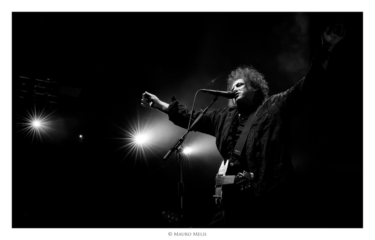 MauroMelis tweet media