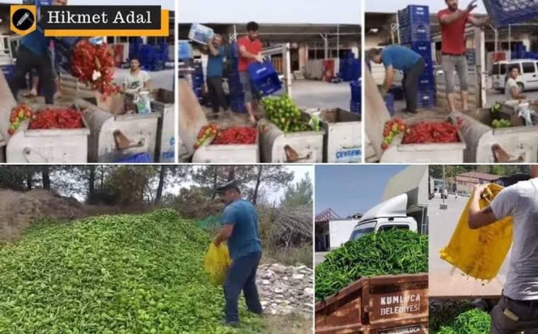 Hiçmi vicdanınız yok bu devletin hiçmi yetkilisi yok bu israfa dur diyecek bir insan evladı yokmu <a href="/RTErdogan/">Recep Tayyip Erdoğan</a> <a href="/suleymansoylu/">Süleyman Soylu</a> <a href="/bekirpakdemirli/">Dr. Bekir Pakdemirli</a> <a href="/TCTarim/">T.C. Tarım ve Orman Bakanlığı</a> <a href="/menderesturel/">Menderes Türel</a>