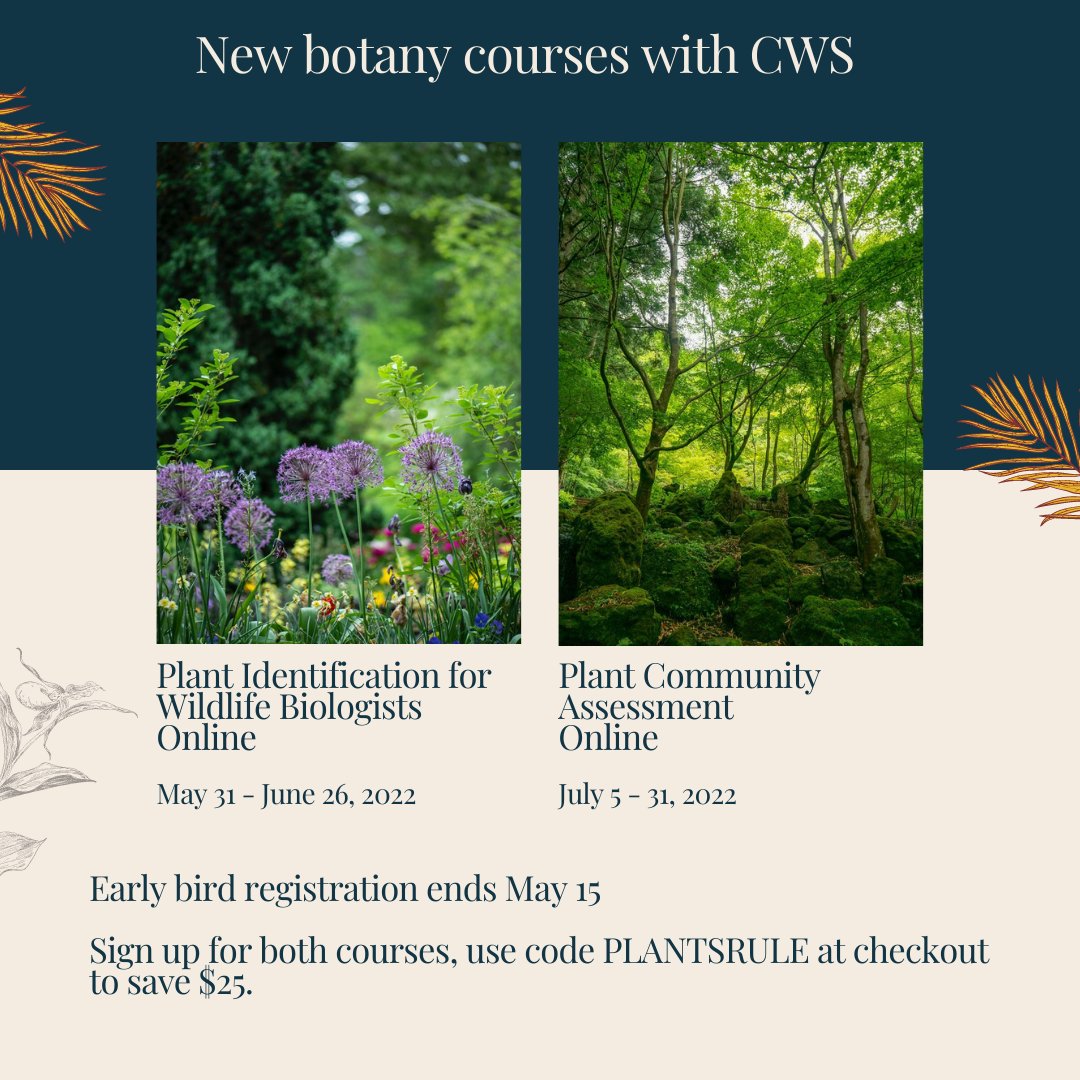 Center for Wildlife Studies tweet media