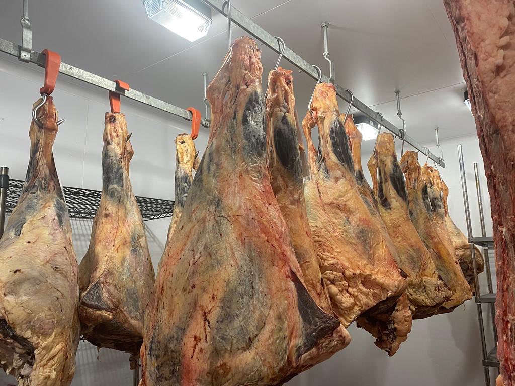 Rachel Godwin tweet media