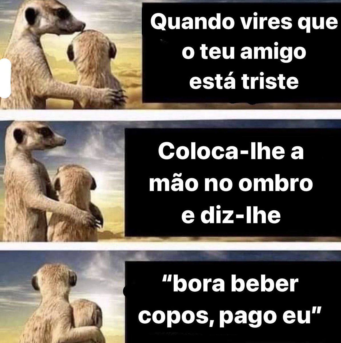 frases de m3rda (@frasesdem3rda) on Twitter photo 