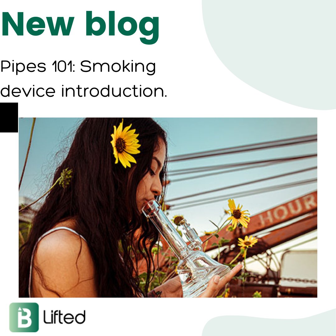 BLiftedca's tweet photo. Happy Thursday friends! We have a new blog for all you cannabis retailers &amp; budtenders. Let us tell you about pipes 🌱

#CannabisCommunity #cannabisculture #420community #Toronto #business #blog 

https://t.co/ctkUBl7yyg https://t.co/ySSF95iJB5