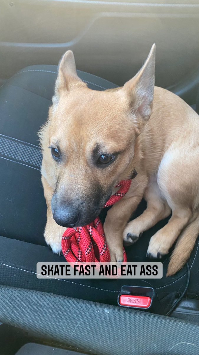 PettyFantasy's tweet photo. Bobo quote of the day: https://t.co/tIhJFBYcKO