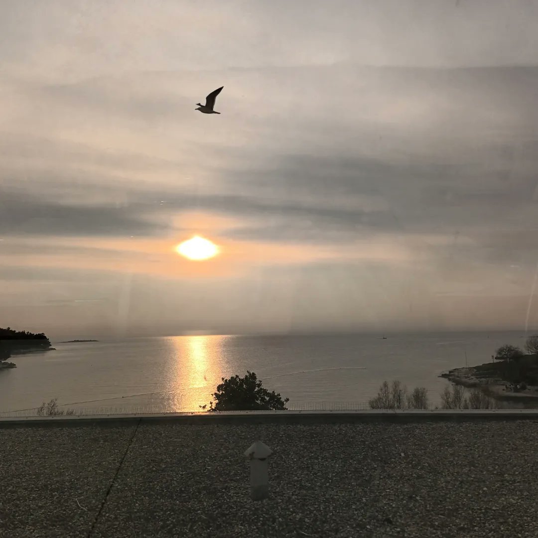 RanbirRef's tweet photo. My view whilst out on a quiet walk after dinner. 
Sunset, the sound of the sea.......love it https://t.co/VDqF7Ff7rK