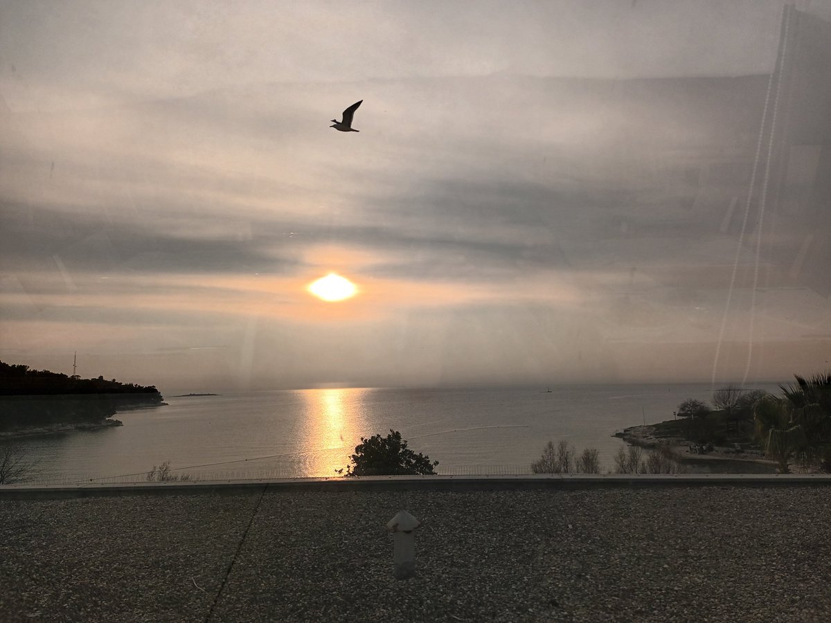 RanbirRef's tweet photo. My view whilst out on a quiet walk after dinner. 
Sunset, the sound of the sea.......love it https://t.co/VDqF7Ff7rK