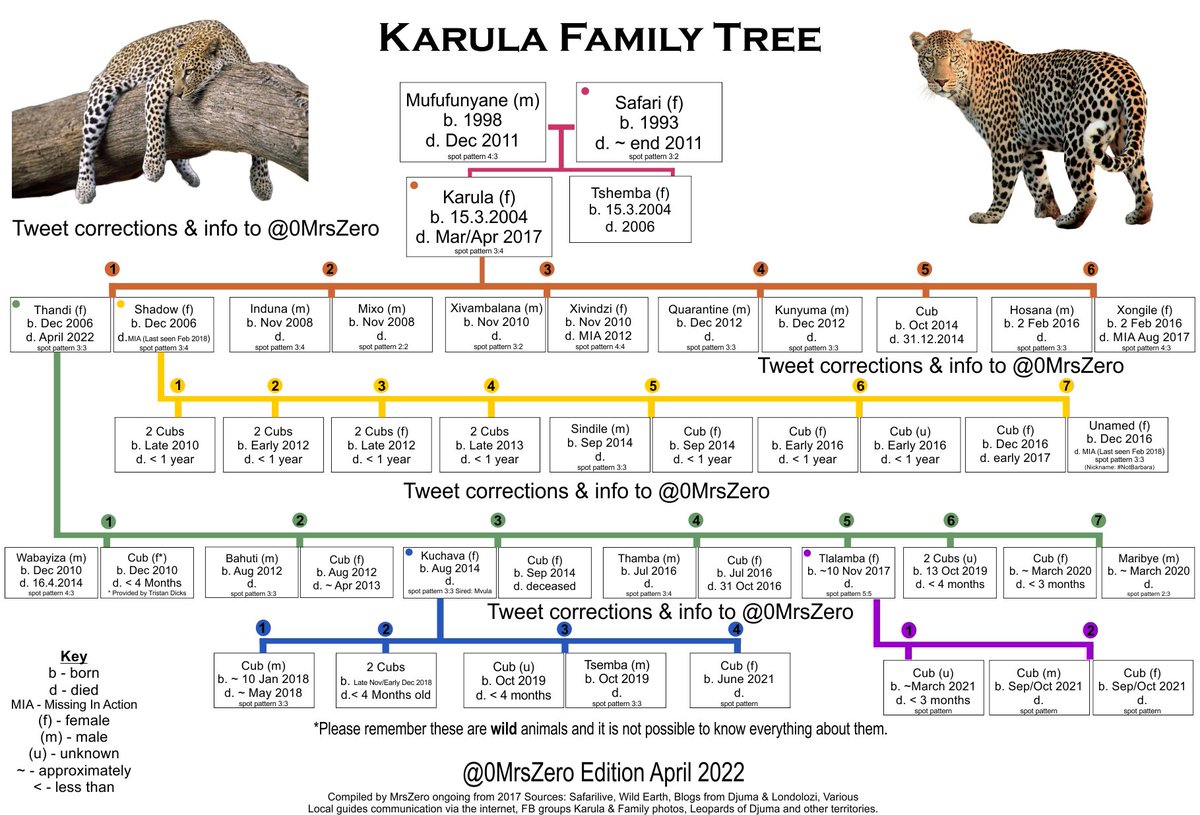 0MrsZero's tweet image. #wildearth Thank you to everyone who watched the Thandi tribute with me, I hope you liked the memories 💜here's an up to date version of the Karula family tree (the previous version was checked by Tristan, so it's quite accurate) retweeted coz the first one had an error (doh)