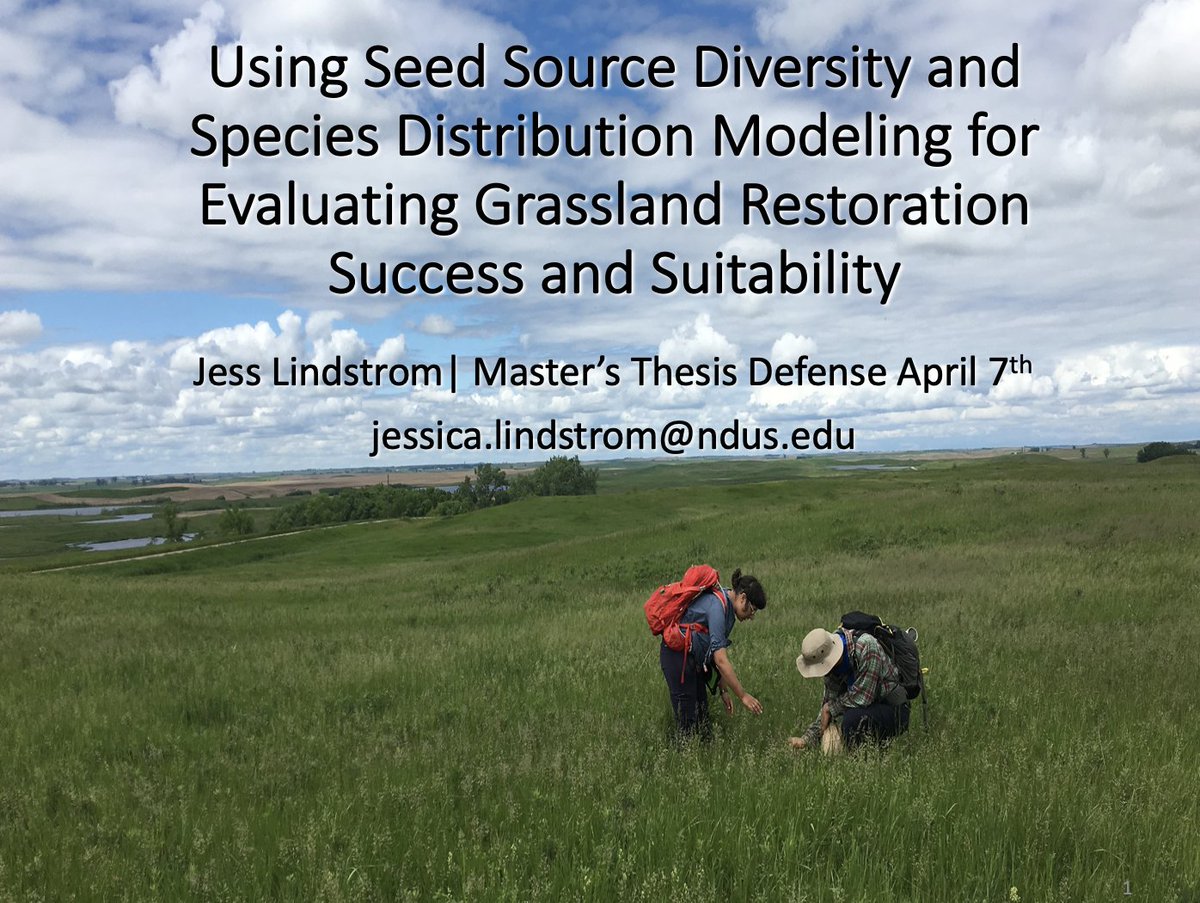 jilla_hamilton's tweet photo. So proud of @JessLindstrom2 for absolutely rocking her MS defense today - important research that has practical applications to grassland restoration now and into the future. The future of grassland restoration is bright!! @mahlering and I are such #ProudPIs!! Well done, Jess!! https://t.co/LhOPuCHH5V