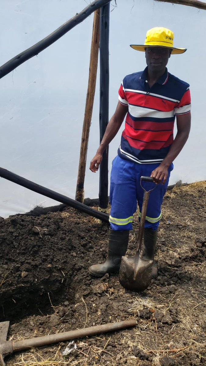 ChembelaJustice's tweet photo. U gotta have that winning attitude. #Farming is such a vibe. @ndakaripa @babatafi @geryusuwaba @PoteDior @kaytaykate @PhiriDivah @Certif_dvendor @Thafinessejay1 @david7zoe https://t.co/O7kR0CdDe6