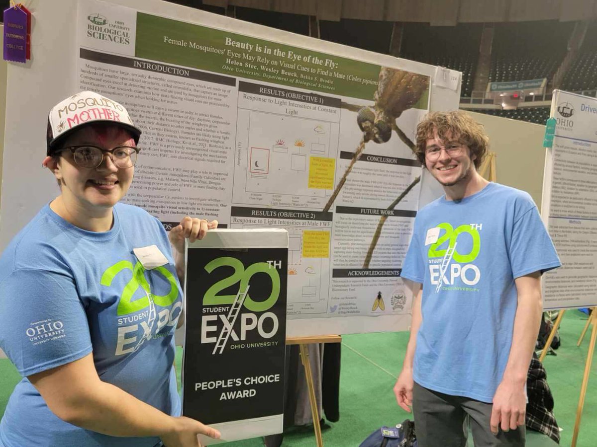 Dr. Bekka Brodie tweet media