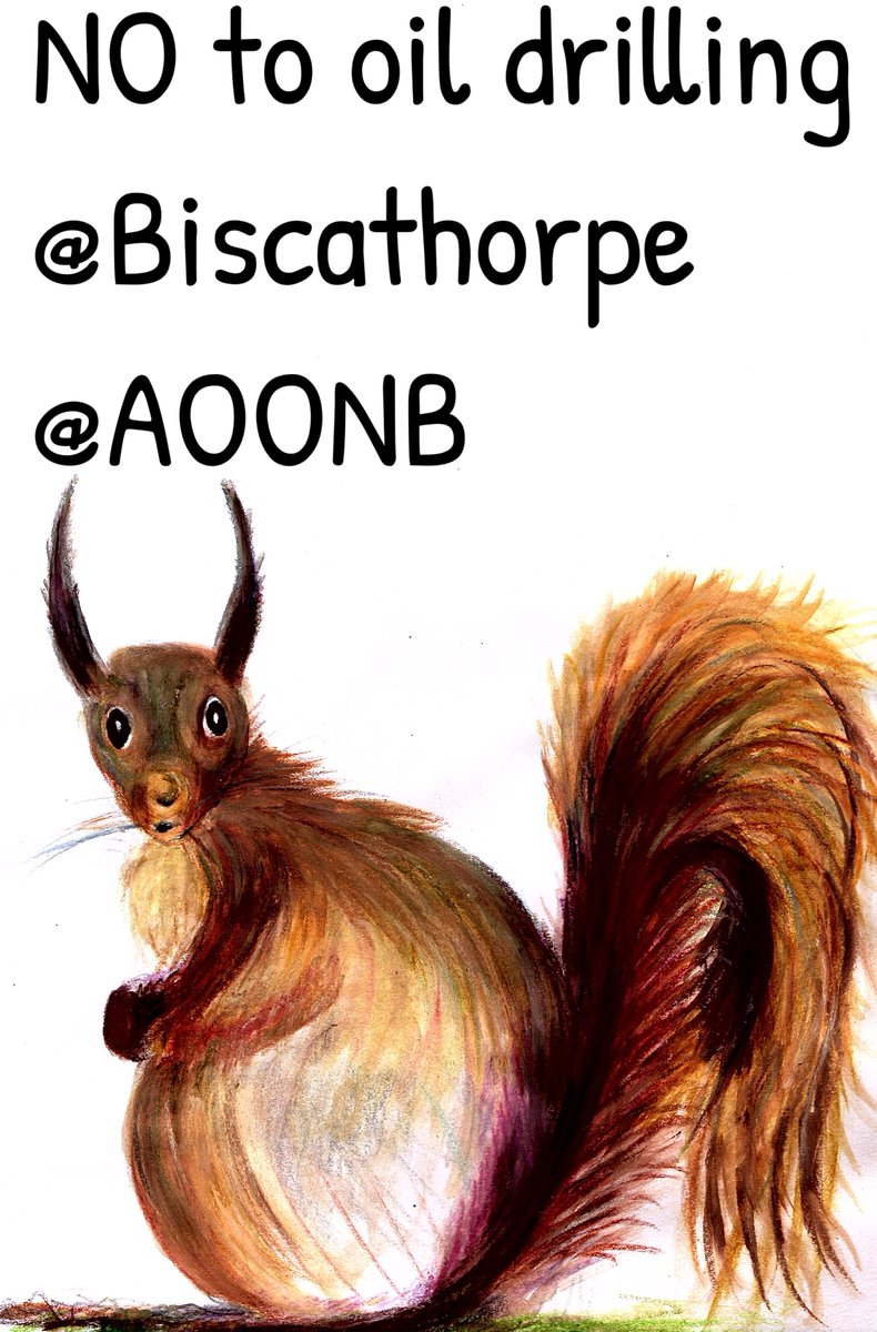 janeairpoetry's tweet photo. Am saddened that #EgdonResources are going to write to the #secretaryofstate to #appeal the decision by #LincolnCountyCouncil refusing #egdonresources permission to drill and explore for #oil in #Biscathorpe #AOONB. There is no meeting for campaigners to attend. We need publicity https://t.co/Z4abzd4S4p