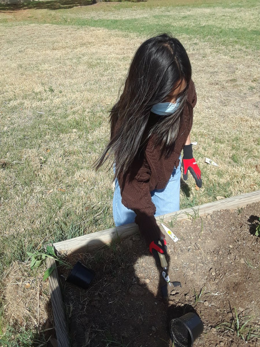 Vgrona1's tweet photo. On Garden day we plant and explore nature . #Outsideschool https://t.co/DpKDwIWA8d