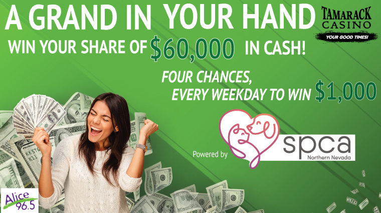 alice965.com/2022/04/01/a-g…