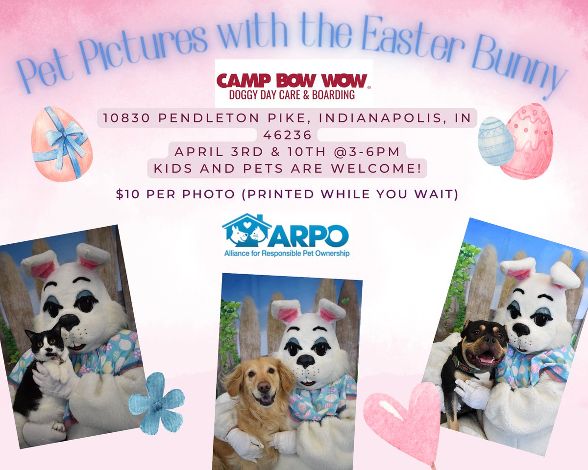This Sunday is your last chance to get your pet’s picture taken with the Easter Bunny!! #Easter #adoptarpo #nonprofitrescue #fundraiser