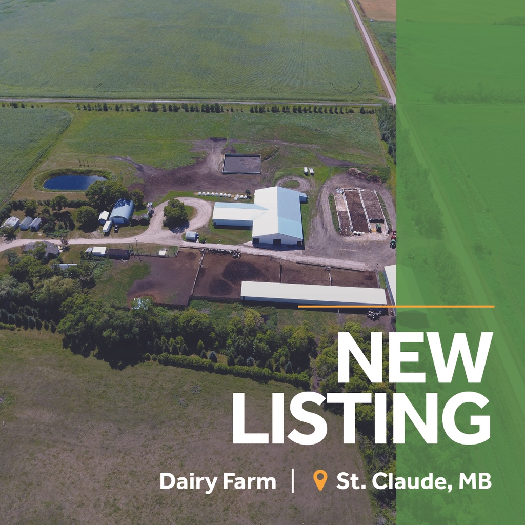 Farm_Division's tweet photo. NEW Listing! Dairy Farm
D 14705
229.37 acres
Near St. Claude, MB

* Modern 112 free stall barn
* Double rapid 10 exit
* 69.87 kgs of quota included

https://t.co/cwDKHP8gPC

@CFRSheldon

#YourFarmTeam #WeSellFarms #MBFarm #CanadianFarm #DairyFarm #Farming https://t.co/Jx3GbJA469