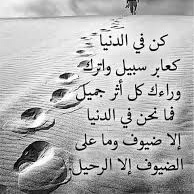 HndTlbh's tweet photo. #صورة_ملف_شخصي_جديدة https://t.co/q4WKhEjrK8
