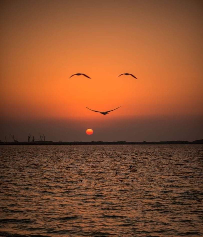 Seis años, diez meses, tres semanas, 4 días, 18 horas y 49 minutos para que las gaviotas vuelen como yo quería para la foto. 
Al menos 1 like por tanto esfuerzo.