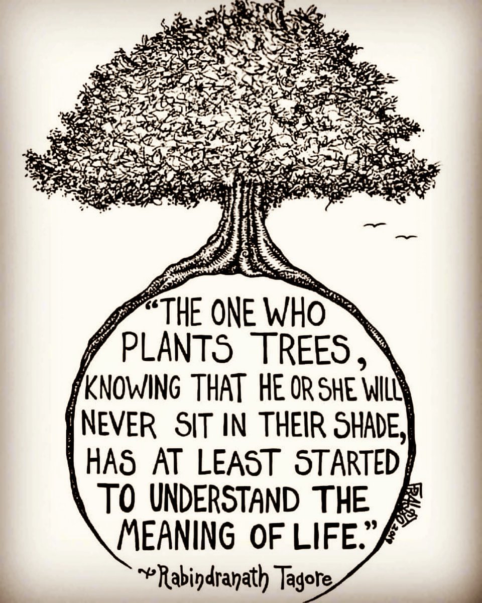 teachergoals's tweet photo. Thank you educators! 🧡 https://t.co/17gpT26DNp