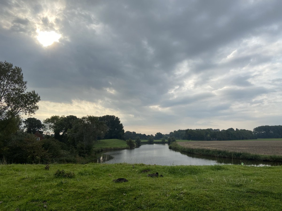 KNNVwalcheren's tweet photo. Op dinsdag 12 april gaat de plantenwerkgroep op pad in Veere. Ben jij er ook bij? Kijk voor meer informatie op de website: 
https://t.co/jLD8G63x7q https://t.co/rKTNm7cc4w