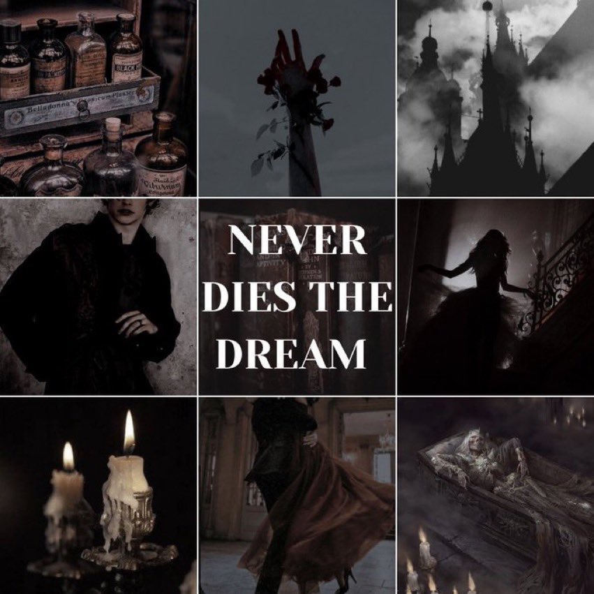 LoganKarlie_'s tweet photo. CRUEL PRINCE x CRIMSON PEAK

No one dreams in the kingdom of Noctis. If they do, they'll be eaten by a demon. When a terrible monster devours her twin, Esmer vows to kill him. Until she must partner w/ him to save the world, that is.

#MoodPitch #YA #F https://t.co/UqZ63Ddzaq