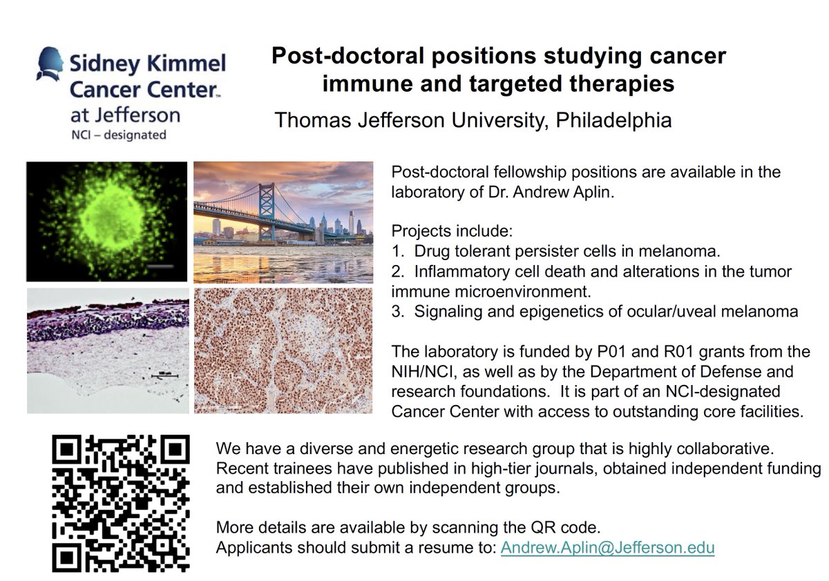 manoela_tiago's tweet photo. Post-docs: great opportunity to join this excellent melanoma research lab!!!! @AndrewEAplin https://t.co/SL59P7eGWk