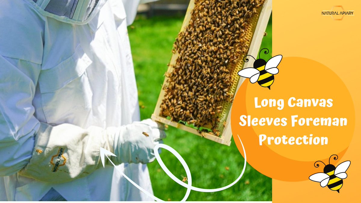 NaturalApiary's tweet photo. Natural Apiary Beekeeping Gloves are easy to wear and offer complete protection. Our beekeeping leather gloves come in different sizes so you can find the perfect fit! 🐝🐝🐝

Buy now - https://t.co/fN07dmOoBo

#naturalapiary #beekeeping #beekeepinggloves #beekeepingsupplies https://t.co/bdWN8UvFHQ