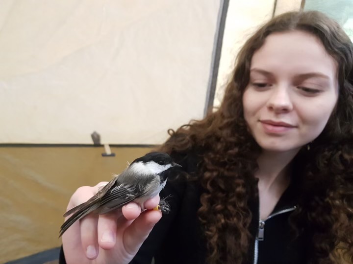 OpeongoHS tweet media