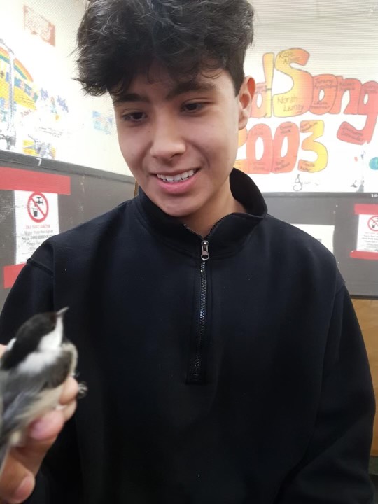 OpeongoHS tweet media