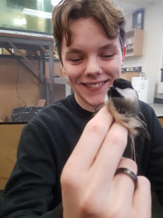 OpeongoHS tweet media