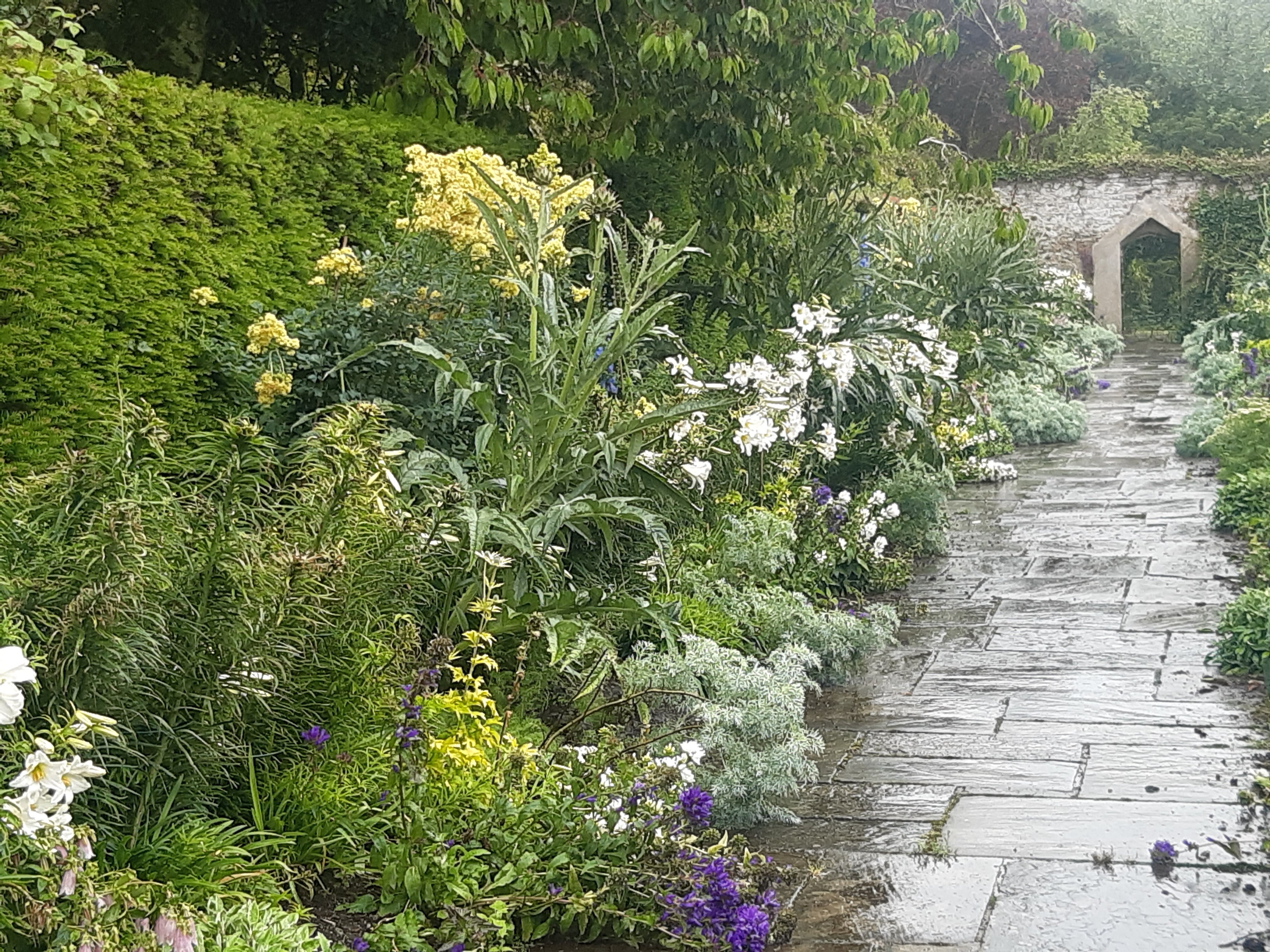 Picturesque Annes Grove Gardens Open to the Public Following Extensive Restoration Works