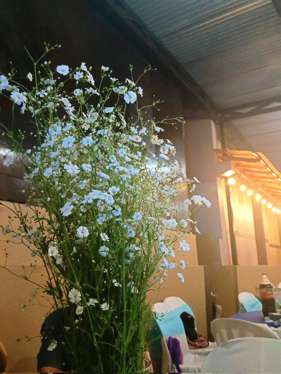 day_minsung's tweet photo. Todas sus fotos de flores me alegran el día, sigan con el hashtag🥰
#SpringWithSeungmin @Stray_Kids @KSMBRAND https://t.co/ywcu5McmRZ